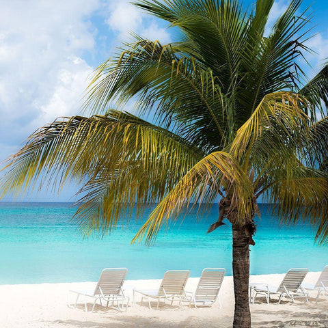 Relaxing Beach Square White Modern Wood Framed Art Print with Double Matting by Bill Carson Photography