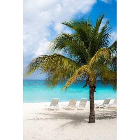 Relaxing Beach Black Modern Wood Framed Art Print with Double Matting by Bill Carson Photography