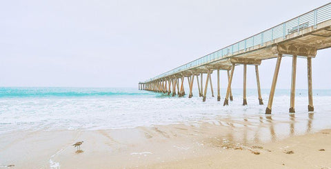 Beach Pier View White Modern Wood Framed Art Print with Double Matting by Bill Carson Photography
