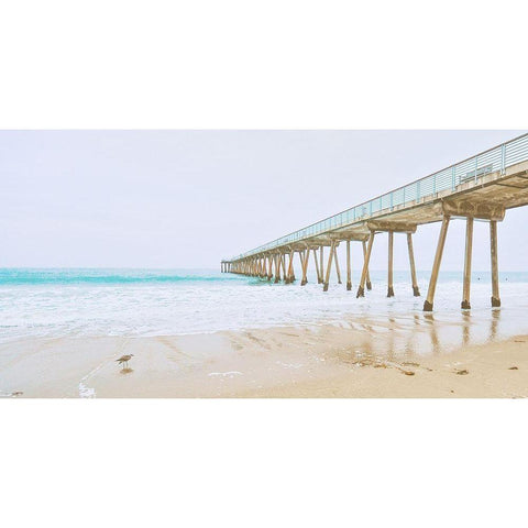 Beach Pier View Black Modern Wood Framed Art Print with Double Matting by Bill Carson Photography