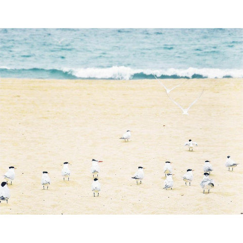 Relaxed Seagulls Gold Ornate Wood Framed Art Print with Double Matting by Bill Carson Photography