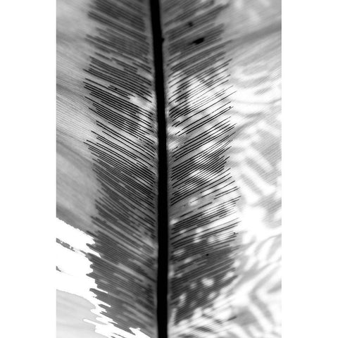 BW Leaf Gold Ornate Wood Framed Art Print with Double Matting by Bill Carson Photography