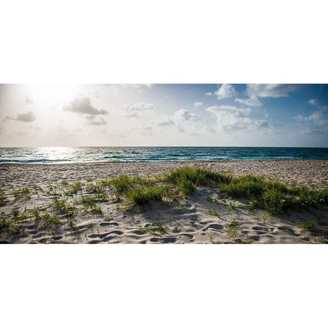 Daylight Views Black Modern Wood Framed Art Print by Bill Carson Photography