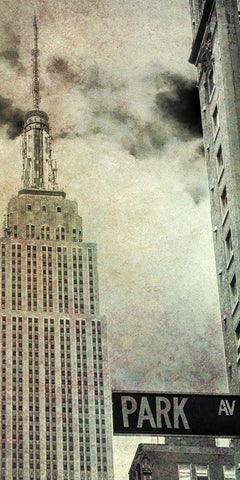 Park Ave View Sepia Black Ornate Wood Framed Art Print with Double Matting by Bill Carson Photography