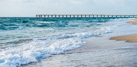 Along the Pier Black Ornate Wood Framed Art Print with Double Matting by Bill Carson Photography
