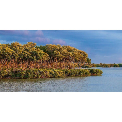 Sundown by the Lake Black Modern Wood Framed Art Print by Bill Carson Photography