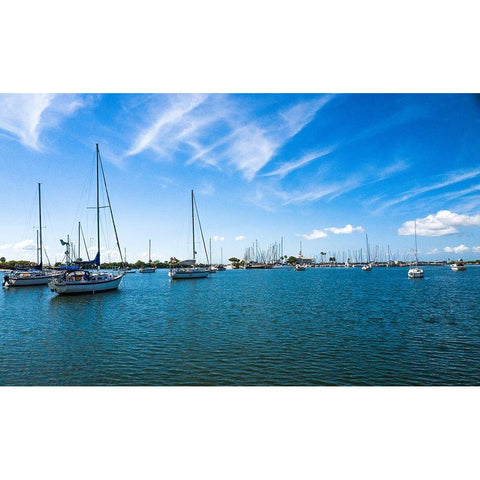 On Calm Waters Gold Ornate Wood Framed Art Print with Double Matting by Bill Carson Photography
