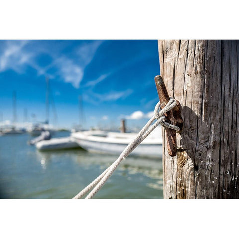 Secure Mooring Black Modern Wood Framed Art Print by Bill Carson Photography