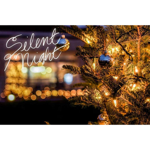 Silent Night Black Modern Wood Framed Art Print by Bill Carson Photography