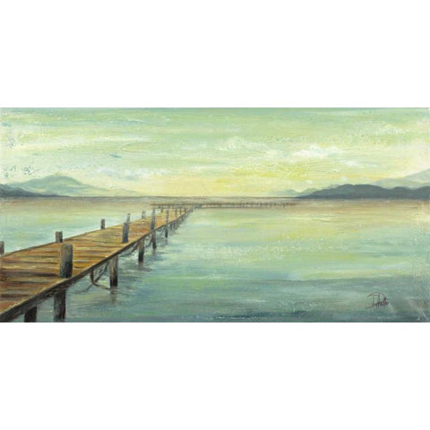 Placid Lake Black Modern Wood Framed Art Print with Double Matting by Pinto, Patricia