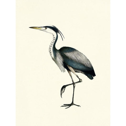 Bird I on Cream Black Modern Wood Framed Art Print with Double Matting by Piddix