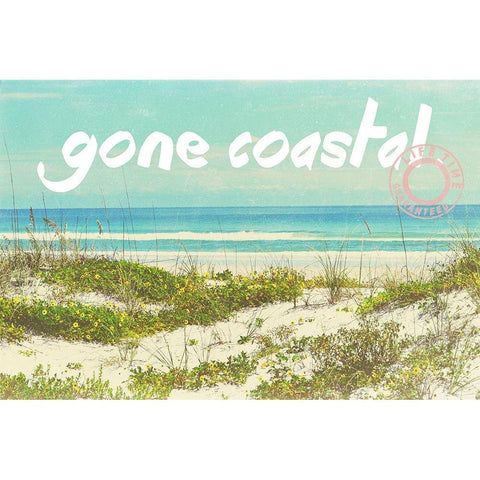 Gone Coastal Black Modern Wood Framed Art Print by Peck, Gail