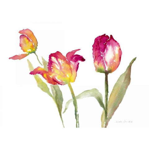 Pink Hues Tulips White Modern Wood Framed Art Print by Loreth, Lanie