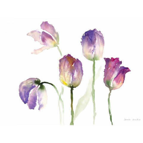 Lavender Hues Tulips II Black Modern Wood Framed Art Print with Double Matting by Loreth, Lanie
