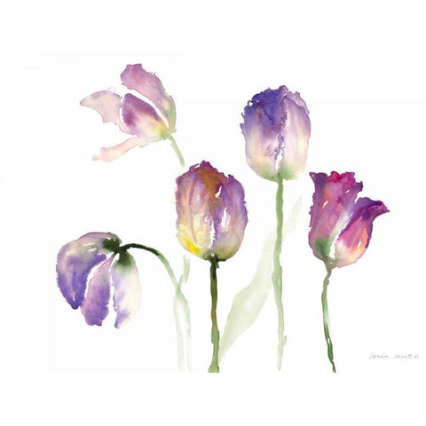 Lavender Hues Tulips II Black Modern Wood Framed Art Print by Loreth, Lanie