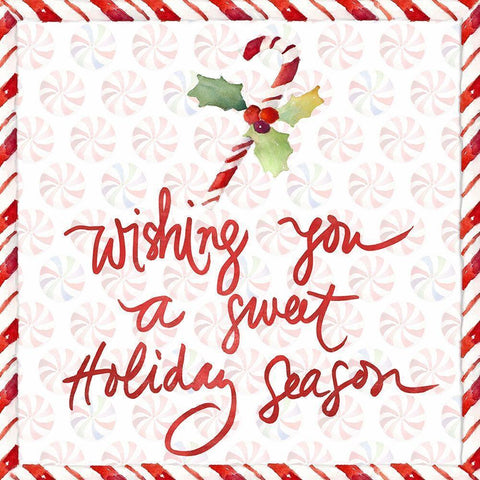 Peppermint Wishes I Black Modern Wood Framed Art Print with Double Matting by Loreth, Lanie