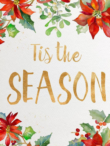 Holiday Poinsettias I White Modern Wood Framed Art Print with Double Matting by Loreth, Lanie