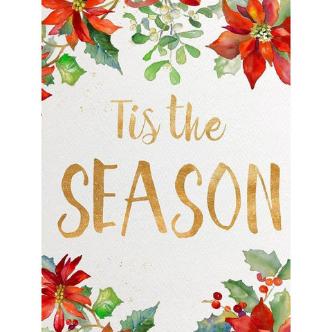 Holiday Poinsettias I Black Modern Wood Framed Art Print with Double Matting by Loreth, Lanie