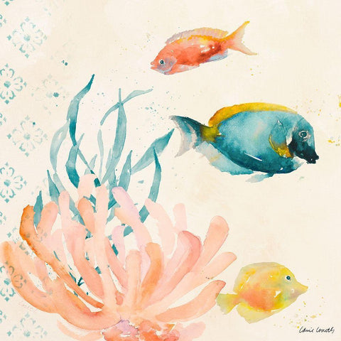 Tropical Teal Coral Medley II White Modern Wood Framed Art Print by Loreth, Lanie