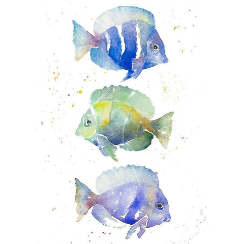 Tropical Fish IV Black Modern Wood Framed Art Print with Double Matting by Loreth, Lanie