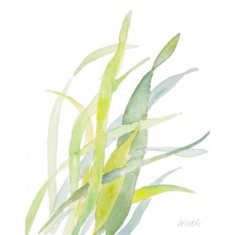 Seagrasses and Eelgrasses II White Modern Wood Framed Art Print by Loreth, Lanie