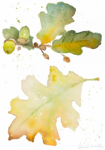 Acorns and Oak Leaves I White Modern Wood Framed Art Print with Double Matting by Loreth, Lanie