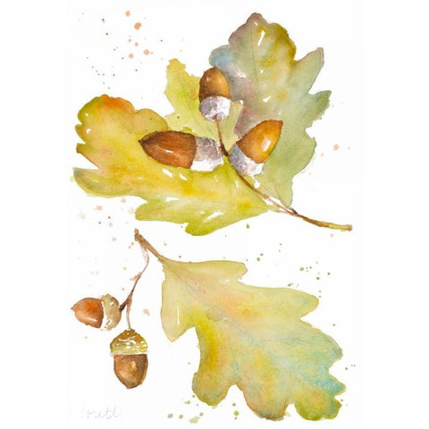 Acorns and Oak Leaves II White Modern Wood Framed Art Print by Loreth, Lanie