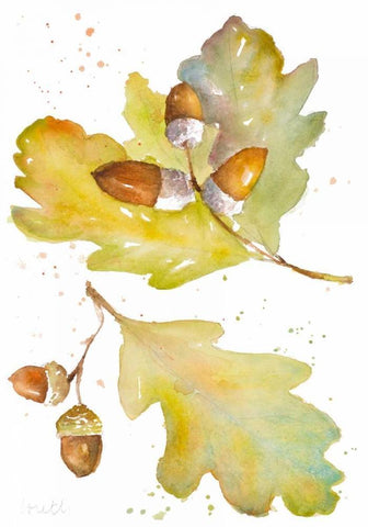 Acorns and Oak Leaves II White Modern Wood Framed Art Print with Double Matting by Loreth, Lanie