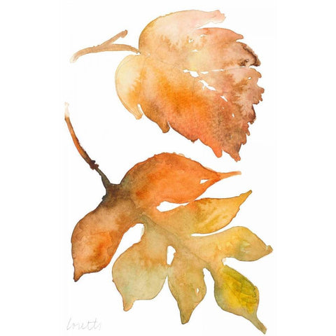 Rustic Autumn Leaves II Black Modern Wood Framed Art Print with Double Matting by Loreth, Lanie