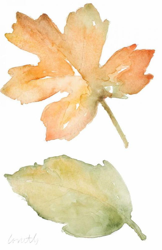 Image Only
