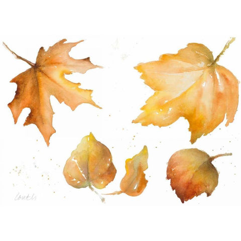 Tawny Autumn Leaves White Modern Wood Framed Art Print by Loreth, Lanie