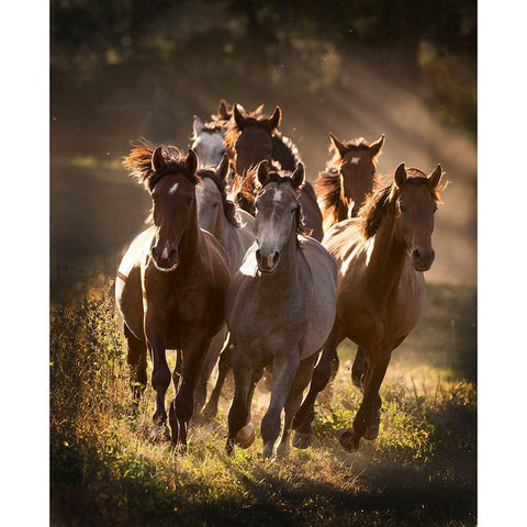 Running Mates Gold Ornate Wood Framed Art Print with Double Matting by Walker, Carol