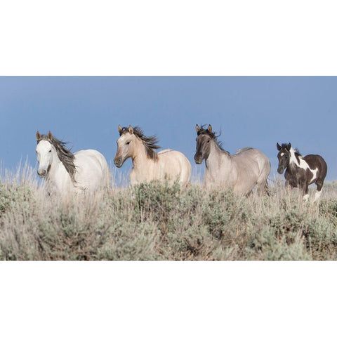 Running To The Waterhole White Modern Wood Framed Art Print by Walker, Carol