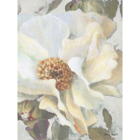 White Peony and Buds Black Modern Wood Framed Art Print with Double Matting by Loreth, Lanie