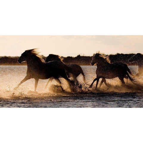 Shore Run Gold Ornate Wood Framed Art Print with Double Matting by Walker, Carol