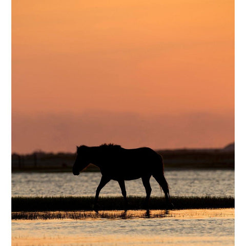 Sunset Stroll Black Modern Wood Framed Art Print by Walker, Carol