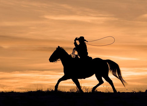 Run Through The Sunset Black Ornate Wood Framed Art Print with Double Matting by Walker, Carol