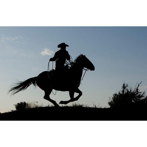 Gallop Along Black Modern Wood Framed Art Print with Double Matting by Walker, Carol