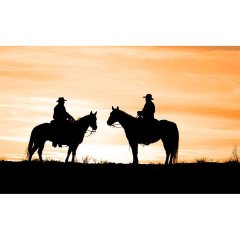 Partner In Crime II White Modern Wood Framed Art Print by Walker, Carol