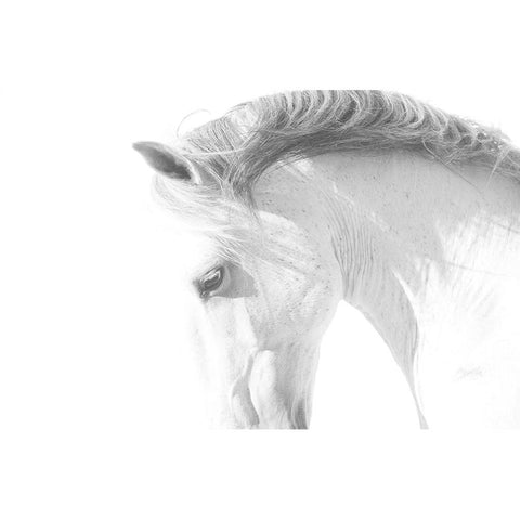 White Horse White Modern Wood Framed Art Print by Walker, Carol