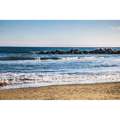 Reef in the Distance I Gold Ornate Wood Framed Art Print with Double Matting by Navas, Emily