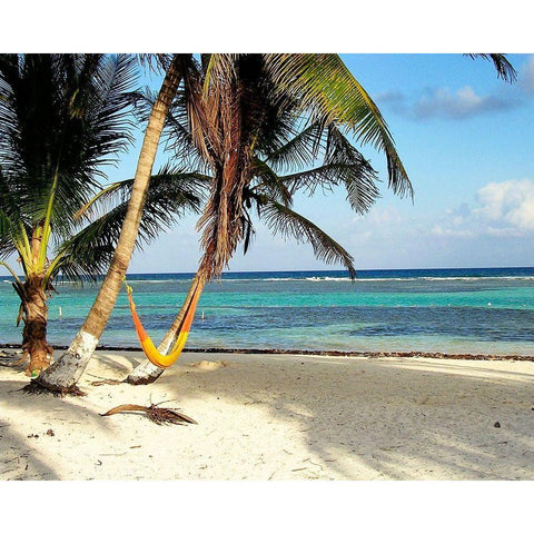 Hammock Paradise White Modern Wood Framed Art Print by Navas, Emily