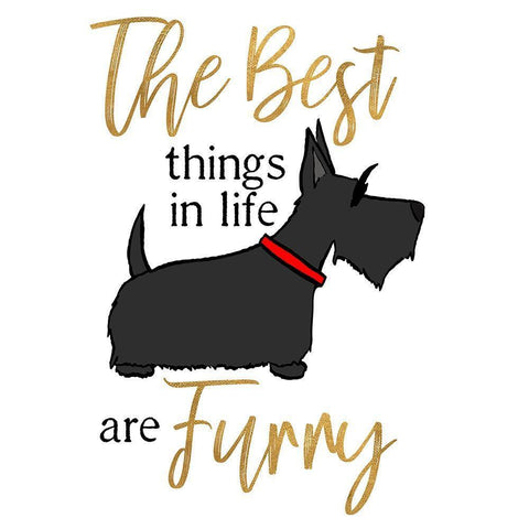 Puppy Positive IV Black Ornate Wood Framed Art Print with Double Matting by Edwins, Hugo