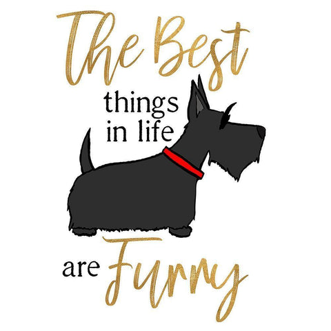 Puppy Positive IV Black Modern Wood Framed Art Print with Double Matting by Edwins, Hugo