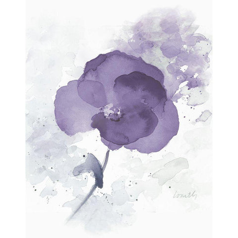 Translucent Mauve Poppy I White Modern Wood Framed Art Print by Loreth, Lanie