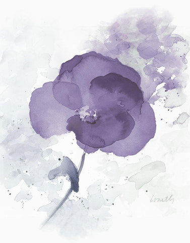 Translucent Mauve Poppy I White Modern Wood Framed Art Print with Double Matting by Loreth, Lanie