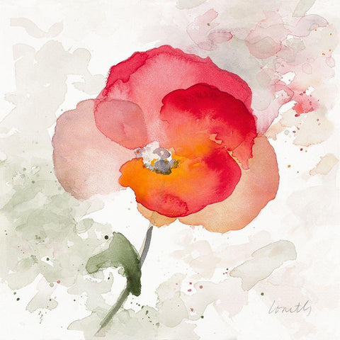 Translucent Poppy I White Modern Wood Framed Art Print with Double Matting by Loreth, Lanie