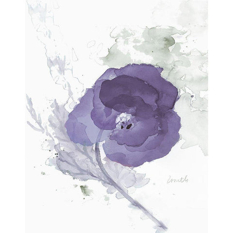 Translucent Mauve Poppy II Black Modern Wood Framed Art Print with Double Matting by Loreth, Lanie