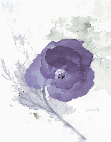 Translucent Mauve Poppy II White Modern Wood Framed Art Print with Double Matting by Loreth, Lanie