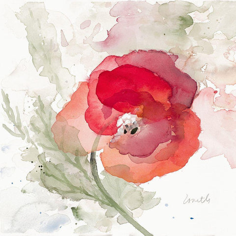 Translucent Poppy II White Modern Wood Framed Art Print with Double Matting by Loreth, Lanie